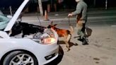 Con la ayuda de un perro antinarcótico, descubrieron más de 4 kilos de cocaína en el techo de un auto en Salta