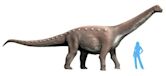 Mansourasaurus