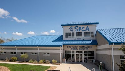 York County SPCA closes dog kennel to public after two test positive for parvovirus