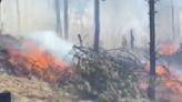 Se reavivan incendios en Jilotzingo, Edomex; creen que los están provocando