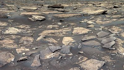 Nuevos hallazgos apuntan a un ambiente terrestre en el antiguo Marte