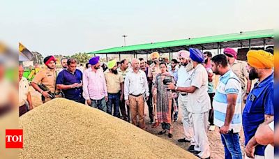 Seamless Paddy Procurement Begins in Kurali Market: Farmers Assured by Mohali DC | Chandigarh News - Times of India