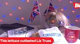 “¡Ganó la lechuga!”: el insólito “desafío” sobre el gobierno de Liz Truss en el Reino Unido que se hizo viral