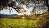 Commentary: Why are lawmakers luring tech lobbyists to wine country before social media, crypto votes?