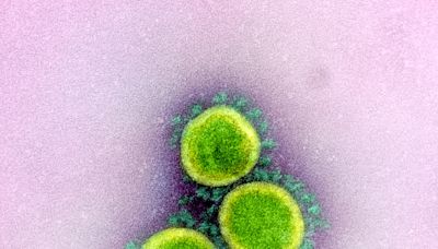 US respiratory virus levels continue to decline as officials track shift in SARS-CoV-2 proportions