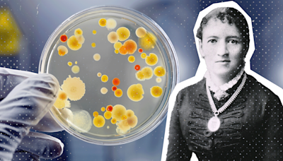 Fanny Angelina Hesse, la mujer que revolucionó el mundo de la microbiología con un ingrediente de cocina