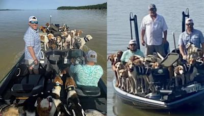 Pescadores rescataron a 38 perros que se encontraban flotando en el río Misisipi desorientas y sin poder volver a la orilla