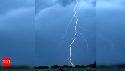 Lightning strikes claim 12 more lives in state | Patna News - Times of India