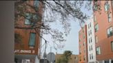 New affordable housing complex opens in St. Petersburg