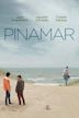 Pinamar (film)