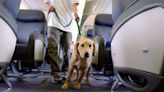 Have Dog-Friendly Airlines Gone Too Far?