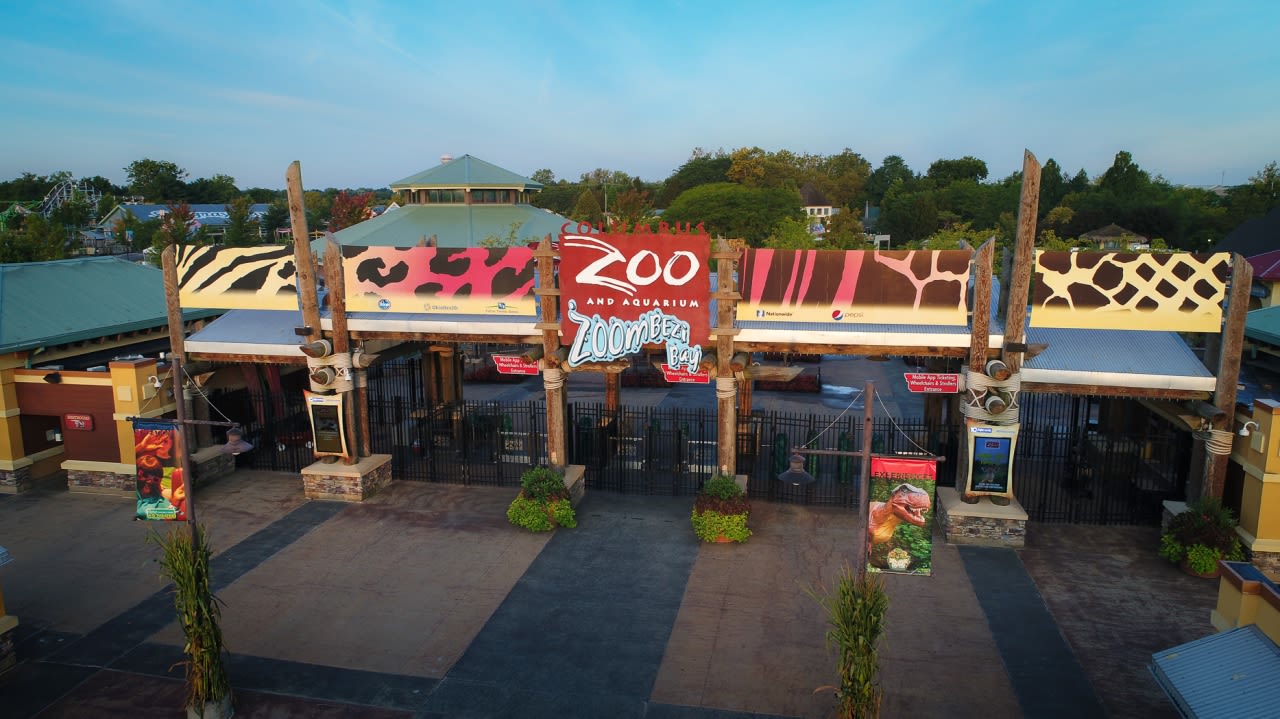 Former Columbus Zoo CEO pleads guilty to felony charges
