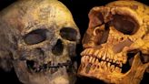 Varias teorías y pocas conclusiones: por qué el tamaño del cerebro humano se redujo en los últimos 100.000 años