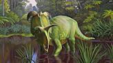 A dinosaur from Montana with huge blade-like horns is named after Norse god Loki