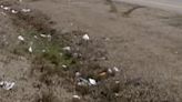 Fines for littering in North Carolina could double under new bill