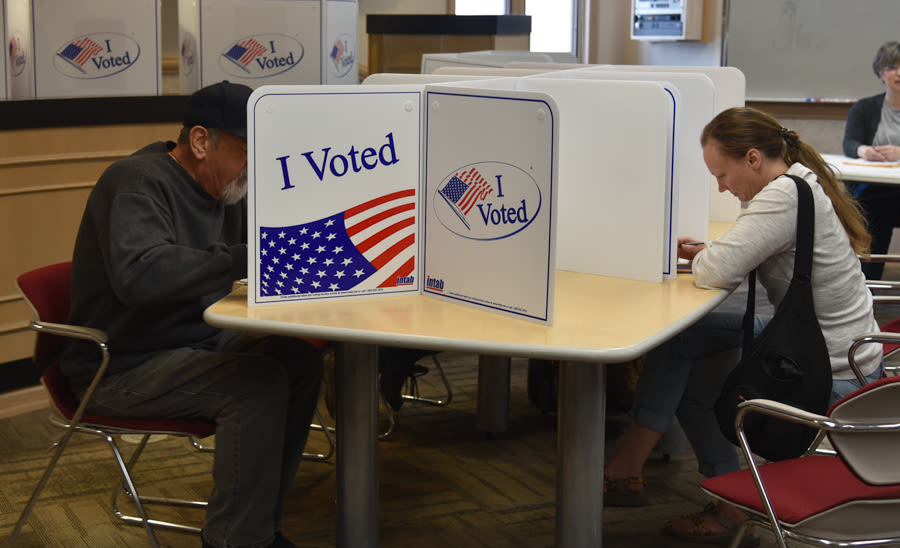 Almost 24% of Idaho’s registered voters voted in primary election, initial estimates show - East Idaho News