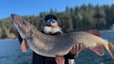 ‘A true monster of a fish’: Idaho angler breaks state pike record with 40-pound catch