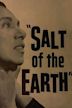 Salt of the Earth (1954 film)