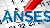 ANSES: calendario de pagos de agosto 2024 con aumento para jubilados, pensionados y SUAF, ¿cuánto y cuándo cobro?