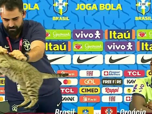 Brasil sufre la “maldición del gato”: el polémico episodio que condenó a la selección Canarinha desde Qatar 2022 | + Deportes