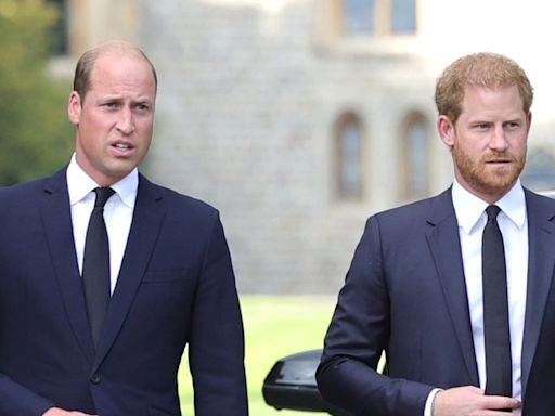 Prince William 'Shut Door’ to Harry’s Bid to Return to Royal Duties