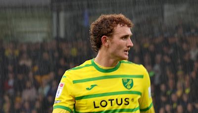 Josh Sargent injured in Norwich City promotion playoff - Soccer America