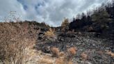 Dos años de los grandes incendios en Navarra: el Gobierno trabaja en la regeneración de su superficie