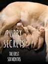 Puppy Secrets: First Six Months