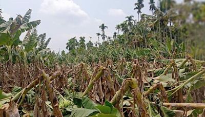 Gustnado wreaks havoc in Kerala’s Thrissur