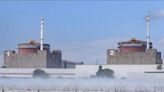 IAEA discovers mines near Ukraine's Zaporizhzhya nuclear plant