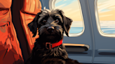 Dogs aren't people: Why we need to keep pets out of planes