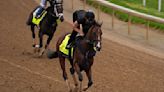 Kentucky Derby: Handicapper picks the winner, analyzes the race