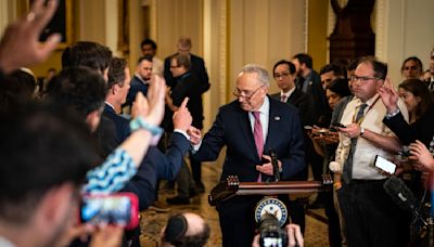 On Capitol Hill, Democrats Panic About Biden but Do Nothing