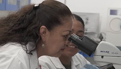 ¿Dónde hacerse estudios de laboratorio baratos? La UNAM ofrece exámenes certeros