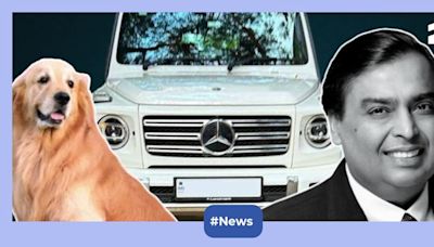 You won’t believe what Mukesh Ambani’s dog travels in – A luxury Mercedes G 400d worth Rs 3 Crore