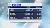 【藍籌業績】中移動首季多賺5.5% 萬洲純利倍升