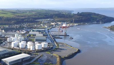 Shannon Foynes Port incurs €357k legal costs from CEO's successful High Court action over unpaid bonuses