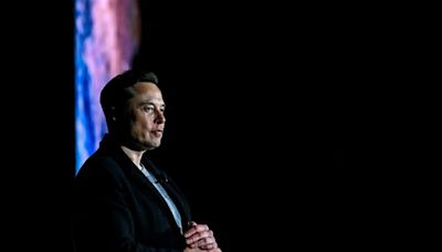Elon Musk: Star-Fondsmanager würde nicht bei ihm investieren