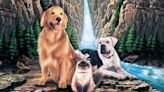 Homeward Bound: The Incredible Journey: Where to Watch & Stream Online