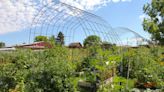 Sowing change: The transformative power of community gardens in Idaho’s rental communities