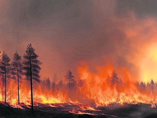 UNAM: Número de incendios forestales podría superar el del año pasado