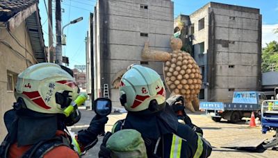 「龜吉拉」現蹤桃園地景藝術節 龜山、坪頂消防分隊守護參觀民眾安全 | 蕃新聞