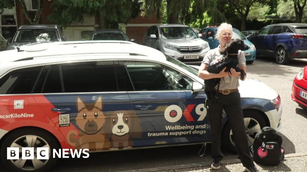 Therapy dogs helping police staff in Devon and Cornwall