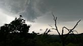 Severe storms topple trees, knock out power in southern Wisconsin