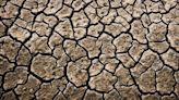 Desertificación: El alarmante fenómeno que padece América Latina