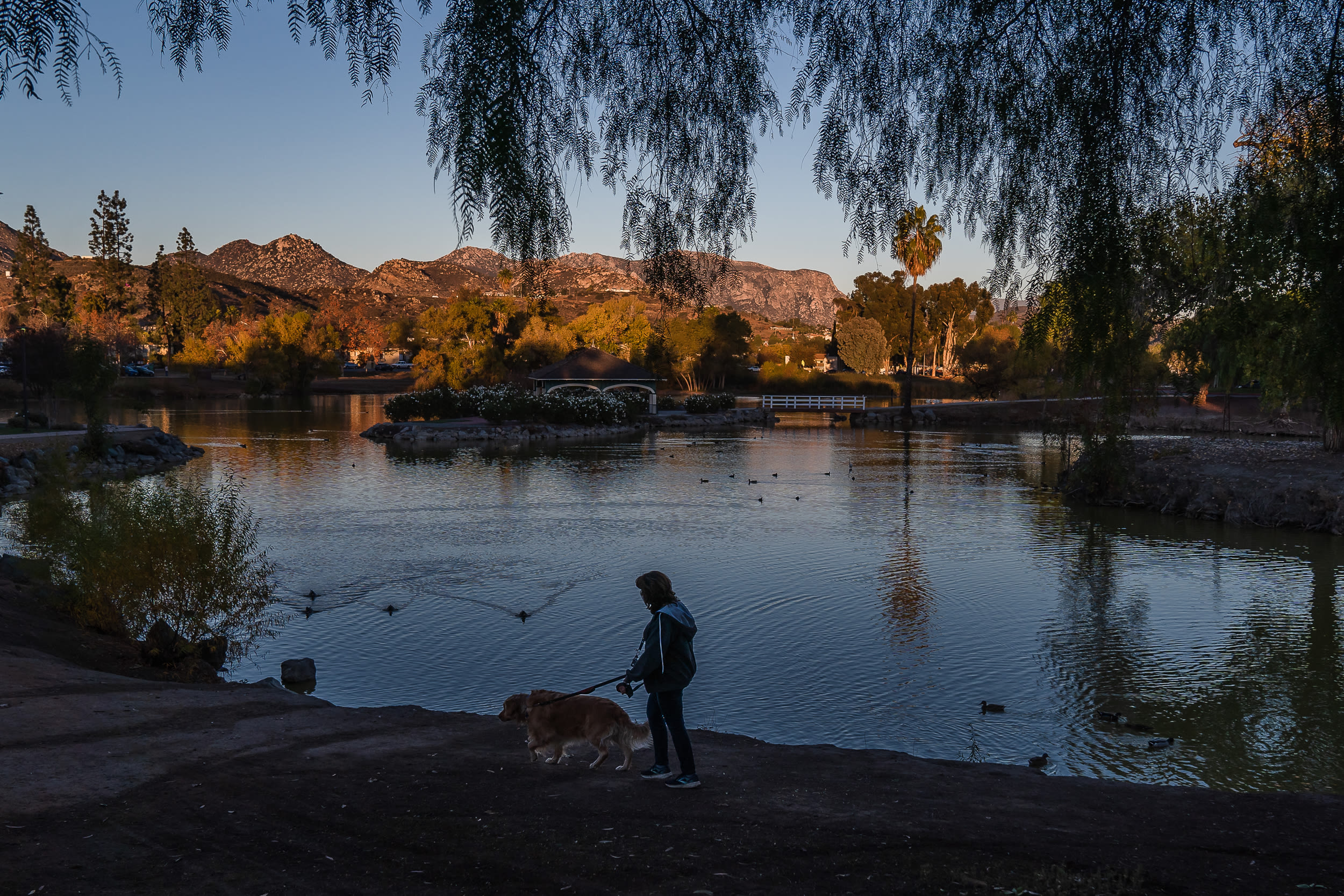 Sacramento Report: What State Farm’s Insurance Cuts Mean to San Diego