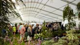 Flower show organisers draft in bigger marquee after rise in bookings