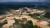 Deforestation In The Brazilian Amazon Breaks Previous Records
