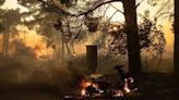 Greece wildfires force mass evacuations - News Today | First with the news