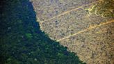 Fed Up, Developing Countries Form Alliance to Charge More For Rainforest Conservation